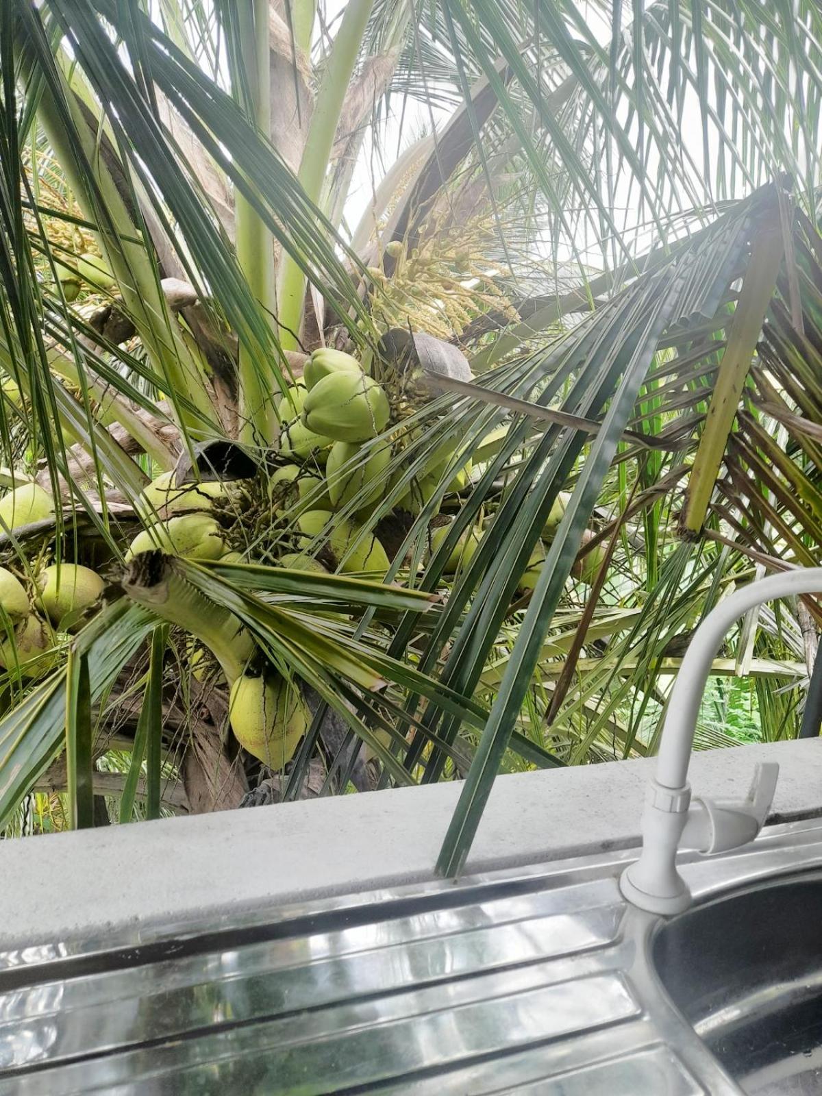 Dinuri Villa Tangalle Eksteriør billede