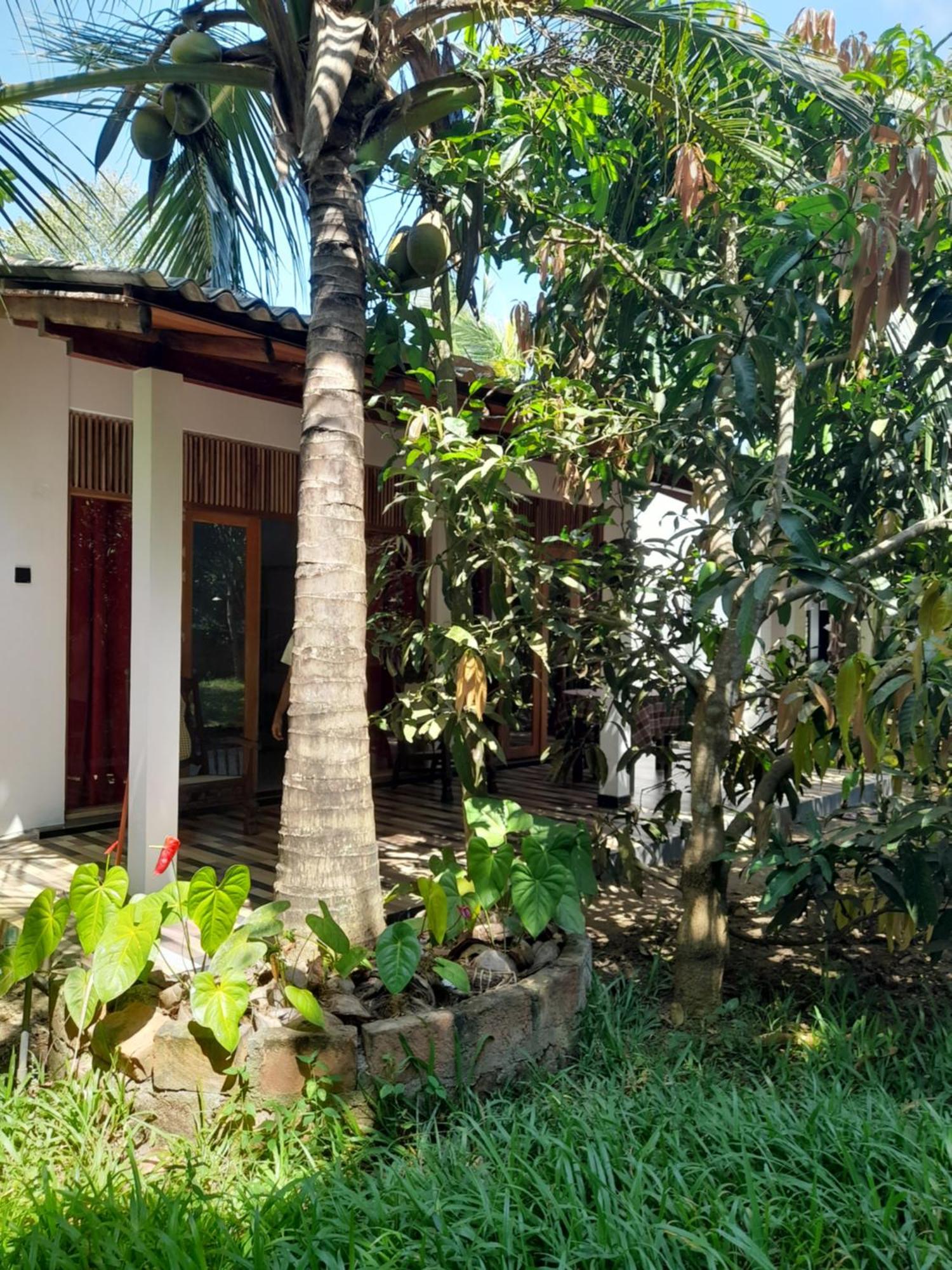 Dinuri Villa Tangalle Eksteriør billede